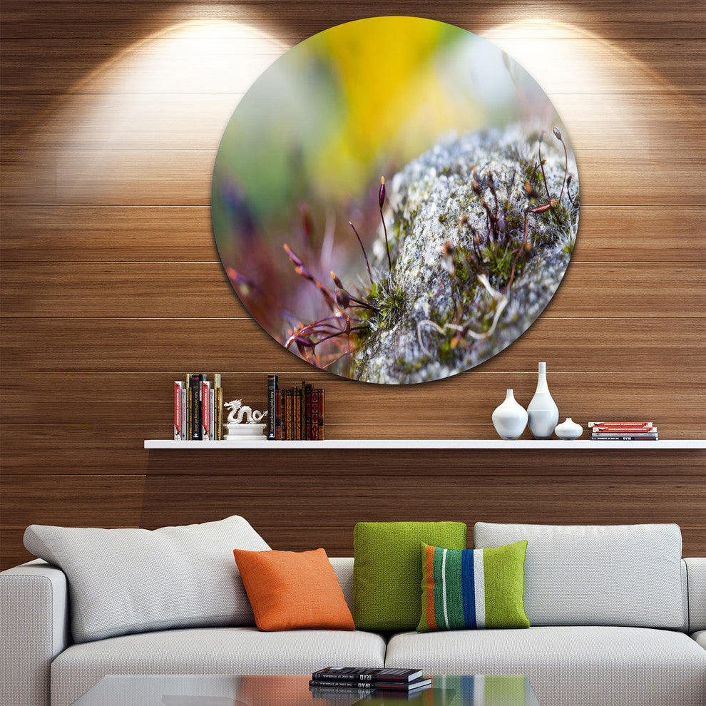 Abstract Composition Of Moss Flowers, Landscape Round Artwork, 23"