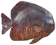 Australian Batfish Fish Wall Sculpture, Copper Patina