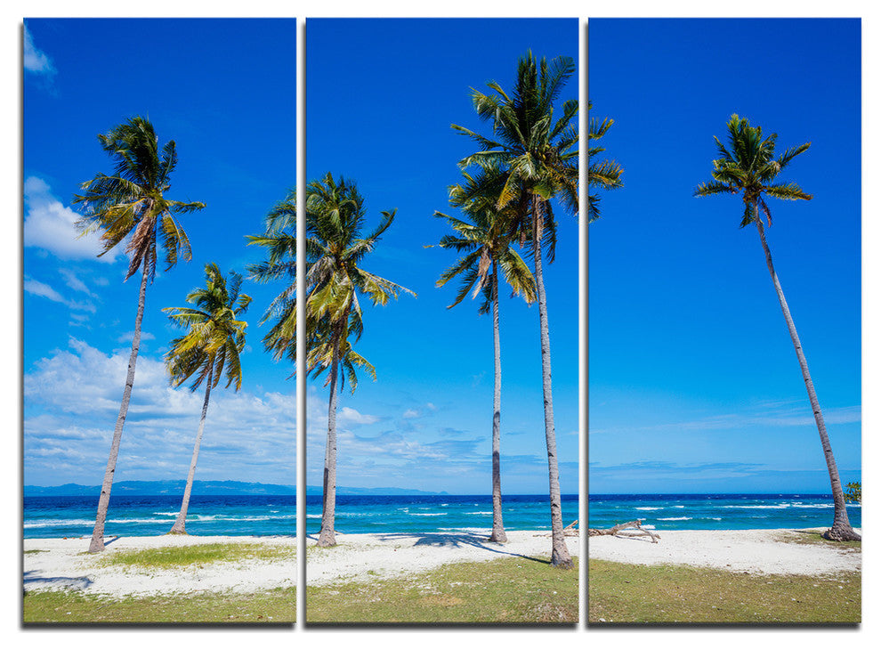 "Bright and Clear Tropical Beach" Metal Wall Art, 3 Panels, 36"x28"