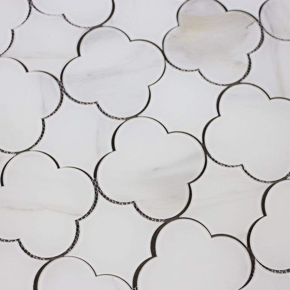 Nature 6 in x 6 in Glass Big Bang Waterjet Mosaic in Calacatta White