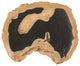 Cast Petrified Wood Wall Decor, Tray Shape