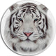 White Bengal Tiger, Animal Large Disc Metal Wall Art, 23"