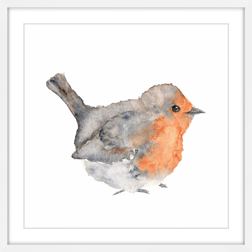 Marmont Hill, "English Robin" by Thimble Sparrow Framed Painting Print