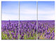 "Close View of Lavender Flower Field" Metal Wall Art, 3 Panels, 36"x28"