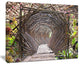 "Bamboo Tunnel in The Garden" Landscape Wall Art Canvas Print, 20"x12"