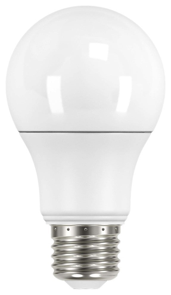 A19 6-Watt LED Lightbulbs, Set of 4