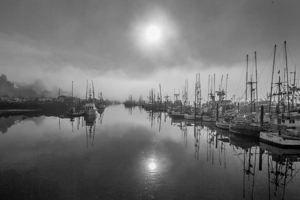 Misty Harbor, Canvas Giclee, 12" X 8"
