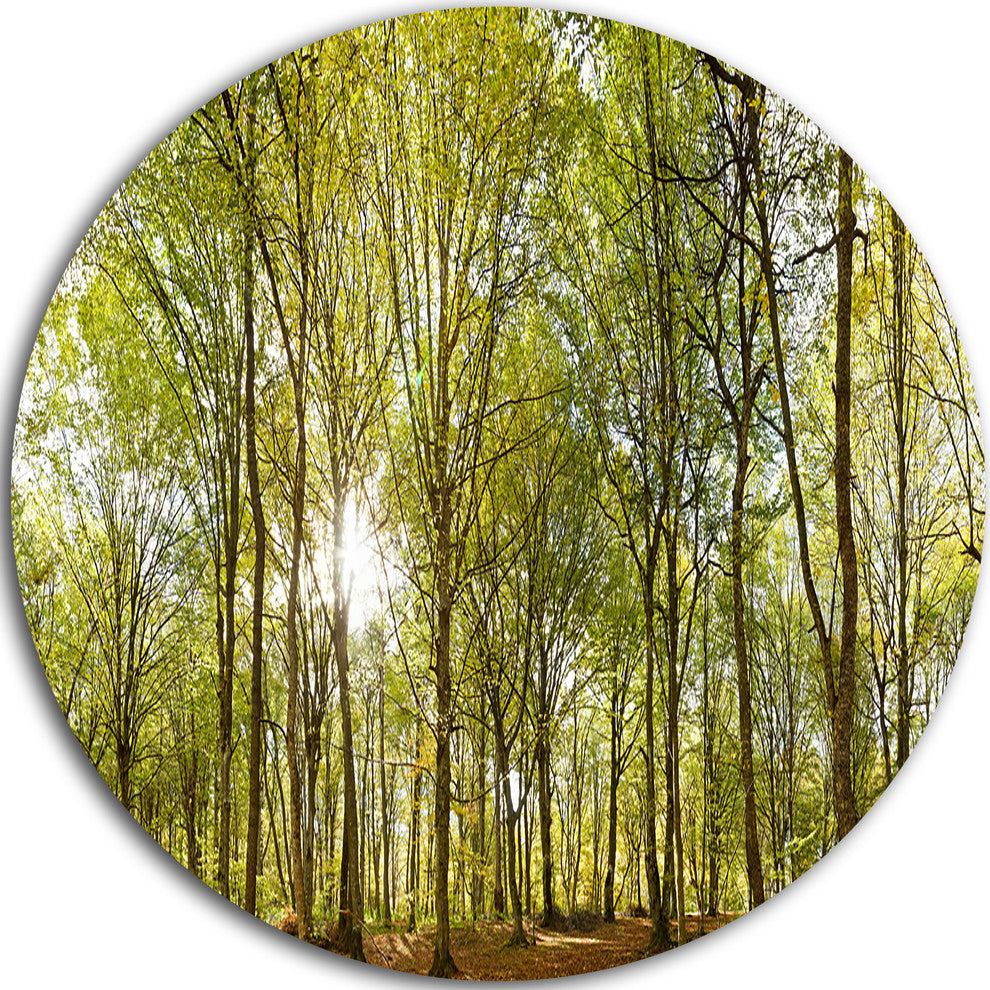 Green Forest Panoramic View, Landscape Photo Disc Metal Wall Art, 38"