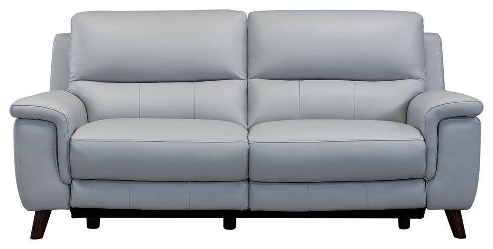 Lizette Sofa, Dark Brown Wood Finish and Dove Gray Genuine Leather