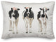 Preppy Cows 14x20 Lumbar Pillow