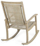 Lucas Outdoor Rustic Wicker Rocking Chairs, Set of 2