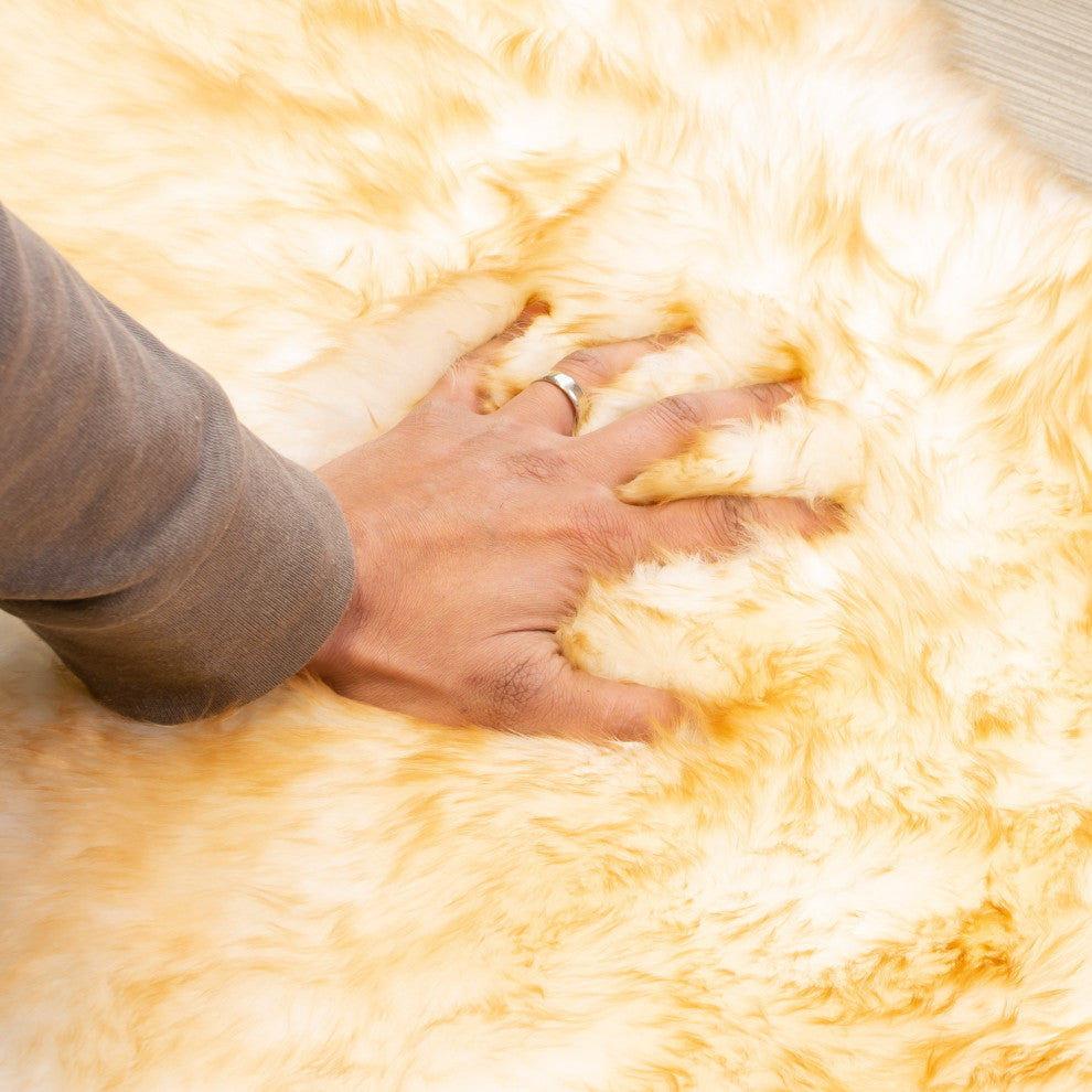 Premium New Zealand Sheepskin Area Rug, Brown Tips, 2' X 3'