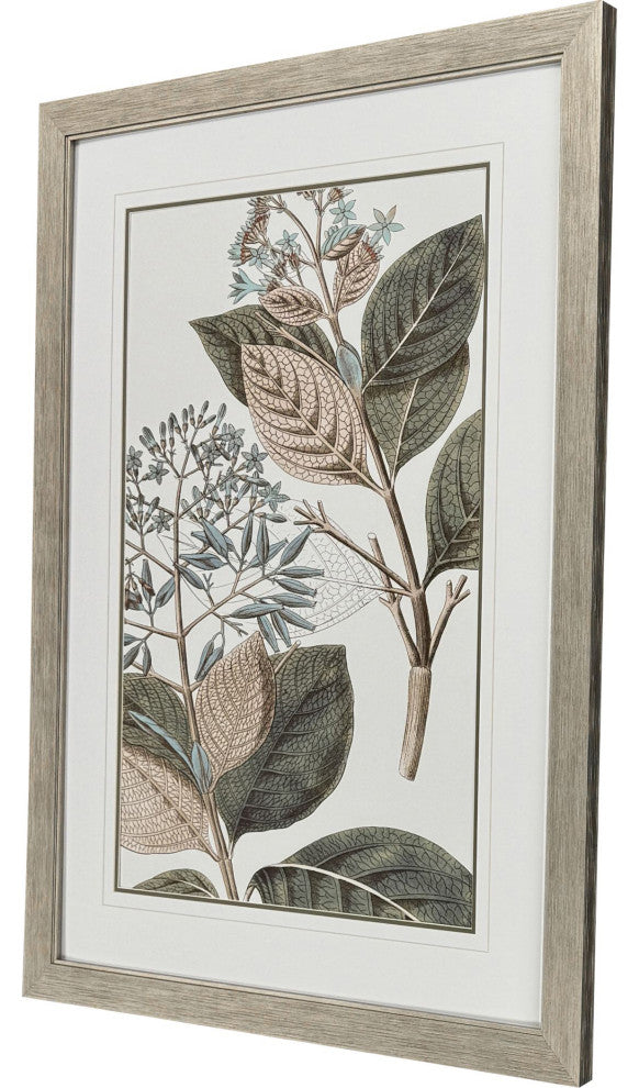 Flowering Botanical III Framed Art