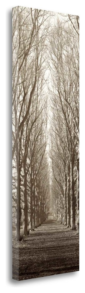 "Hampton Gates Promenade" By Alan Blaustein, Giclee Print on Gallery Wrap Canvas