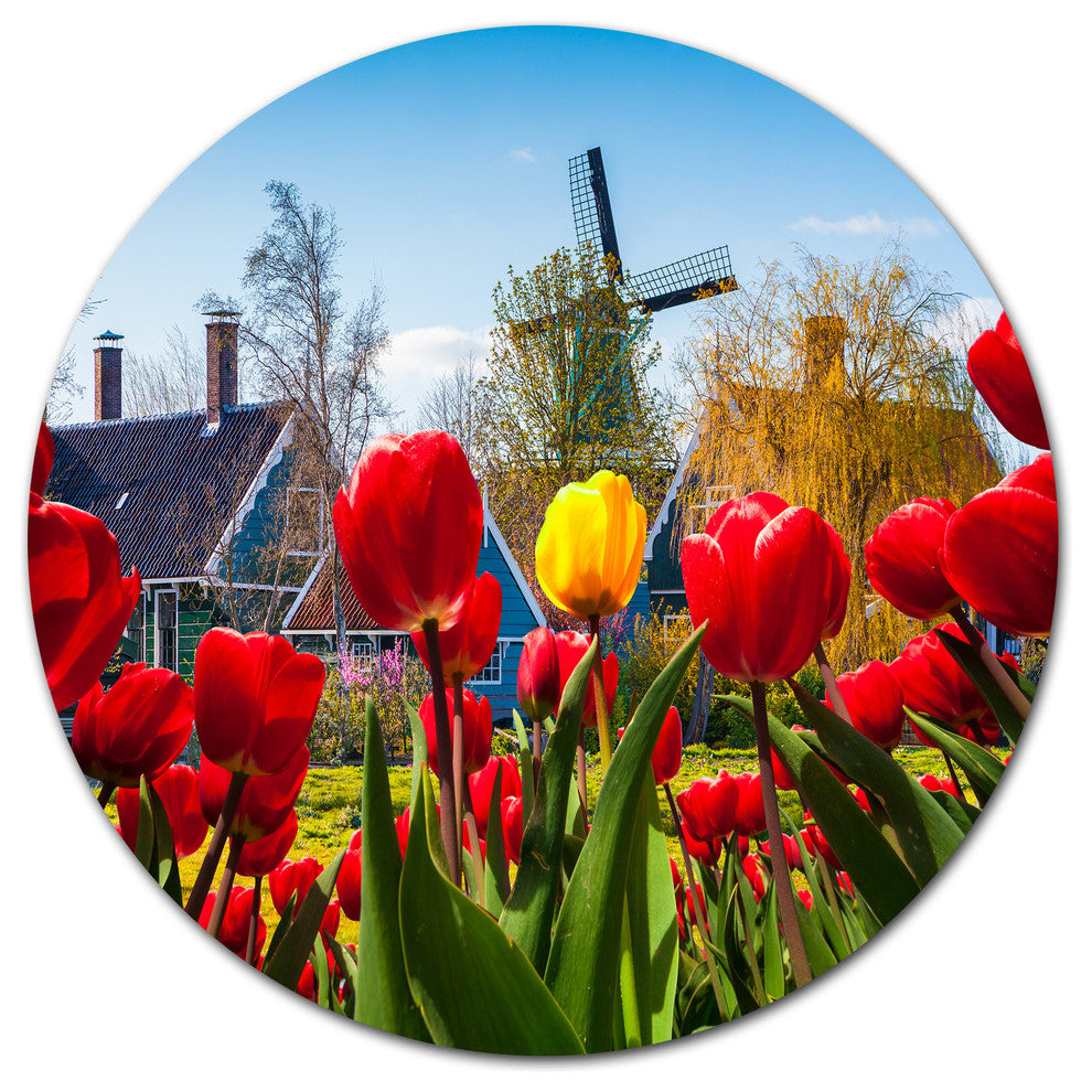 Tulips In The Netherlands Village, Floral Large Disc Metal Artwork, 23"
