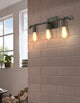 Wymer 3-Light Bath Vanity Light, Zinc