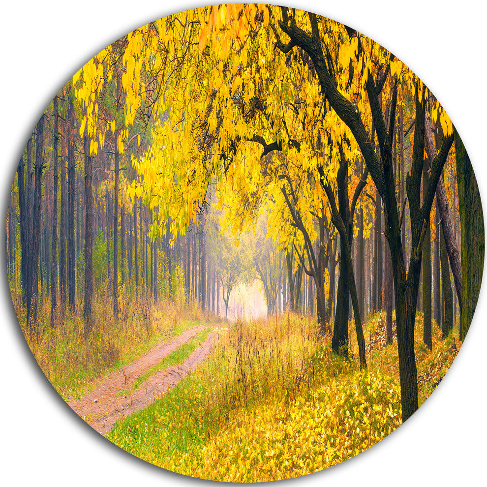 Bright Yellow Autumn Forest, Landscape Photo Disc Metal Artwork, 11"