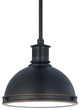 Generation Lighting Lighting 1-Light Pendant, Autumn Bronze, A19/75w
