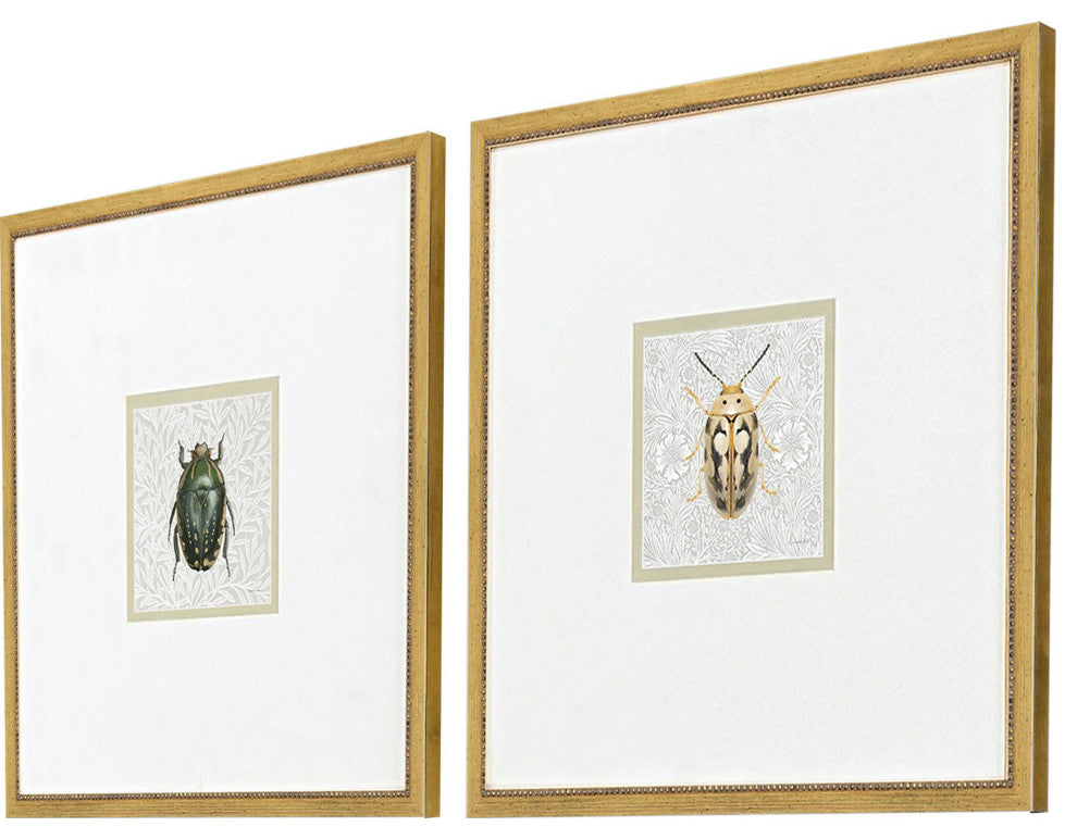 Beetles Framed Art, 2-Piece Set