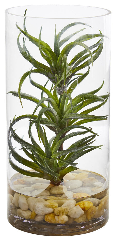 Air Plant Artificial Succulent in Glass Vase
