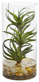Air Plant Artificial Succulent in Glass Vase