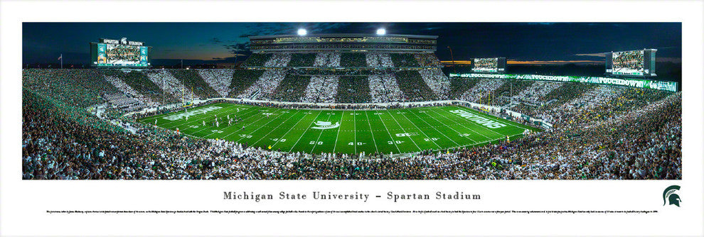 Michigan State University, Football, End Zone, Unframed