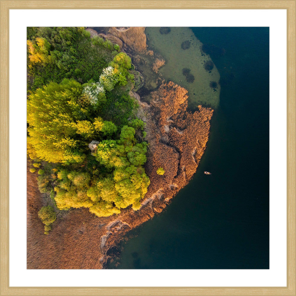 "Trees from Above" Framed Painting Print by Karolis Janulis