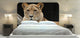 "Lion 34" Headboard