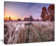"Frosty Fall Trees With Red Leaves" Landscape Wall Art, 40"x30"