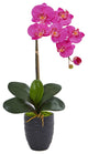 Phalaenopsis Orchid Artificial Arrangement, Black Vase, Dark Pink