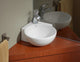 Cheviot Products Corner Wall-Mount/Vessel Sink