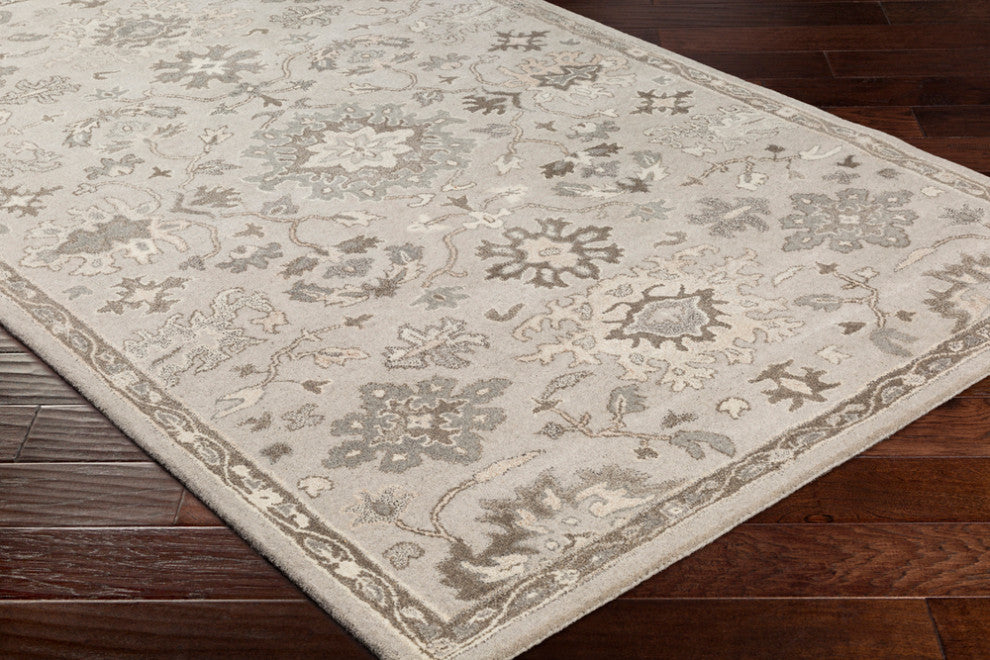 Surya Caesar CAE-1197 Traditional Area Rug, Taupe, 10' x 14' Rectangle