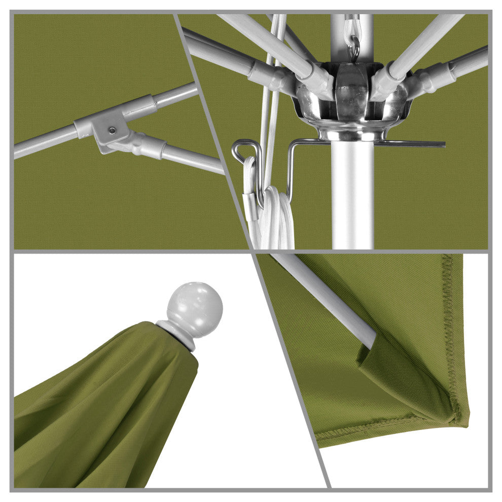 California Umbrella Venture Series, Palm