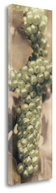 "Chardonnay" By Alan Blaustein,Ready to Hang Giclee Print on Gallery Wrap Canvas