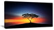 "Beautiful Sunset Over Lonely Tree" Extra Large Wall Art Landscape, 40"x20"