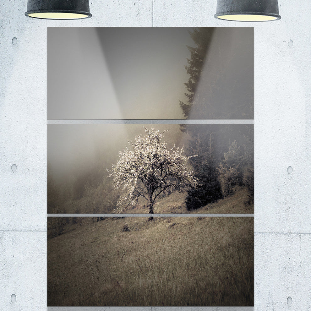 "Apple Tree Vintage-Style" Photo Metal Wall Art, 3 Panels, 28"x36"