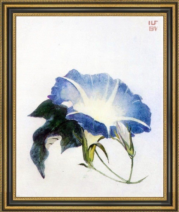 John La Farge Ipomoea (Morning Glory) Framed Premium Canvas Print, 20"x25"