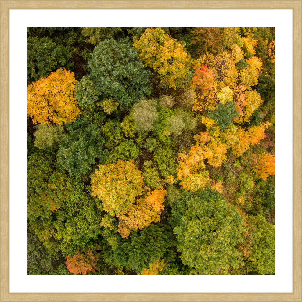 "Bush Bunch" Framed Print by Karolis Janulis