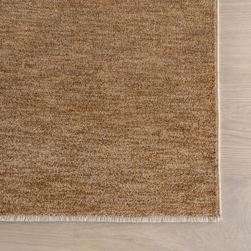 Faela Abstract Fringe Area Rug, Light Brown 3'x5'