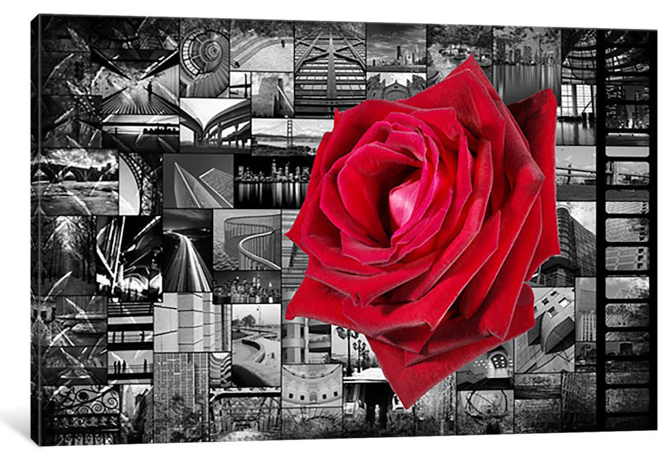 "Rose In City" by iCanvas, 26x18x1.5"