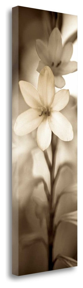 "Florison - 71" By Alan Blaustein, Giclee Print on Gallery Wrap Canvas