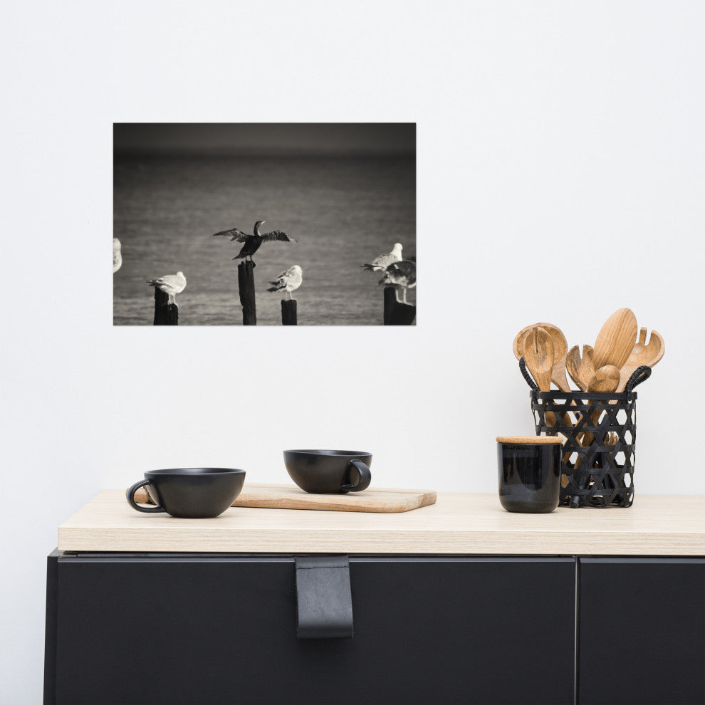 Drying Wings After Storm (Birds) Wildlife Photography Unframed Wall Art Print, 12" X 18"