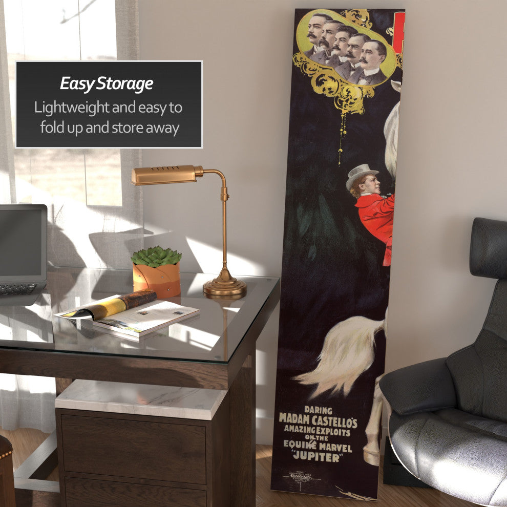 6' Tall Double Sided Circus Room Divider