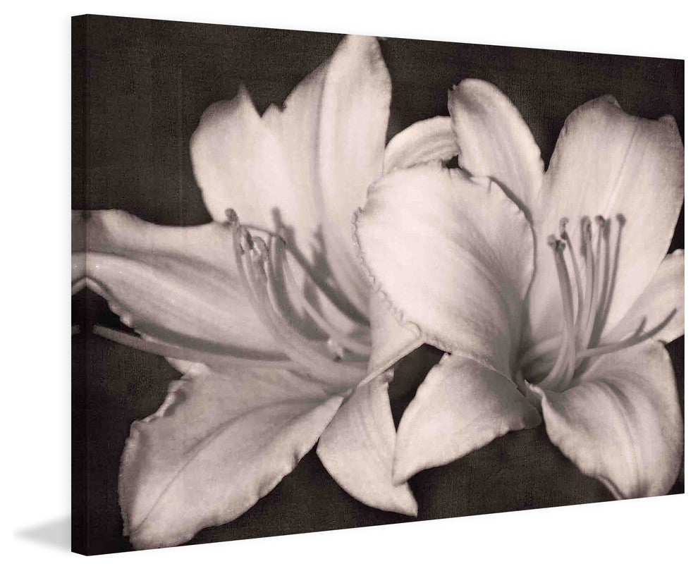 "Fleeting and Free" Painting Print on Canvas by Robertson