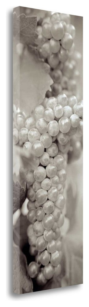 "Grapes Pano - 7" By Alan Blaustein, Giclee Print on Gallery Wrap Canvas