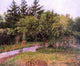 Camille Pissarro the Garden at Eragny Premium Canvas Print