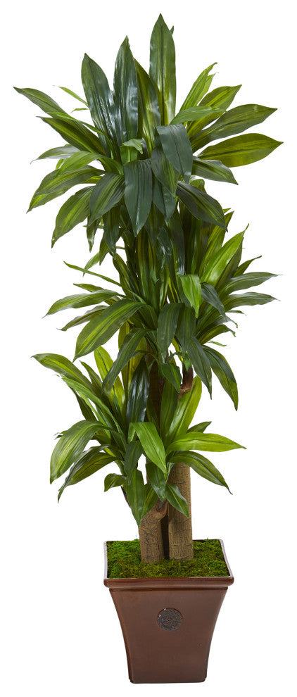 57" Corn Stalk Dracaena Artificial Plant, Brown Planter, Real Touch