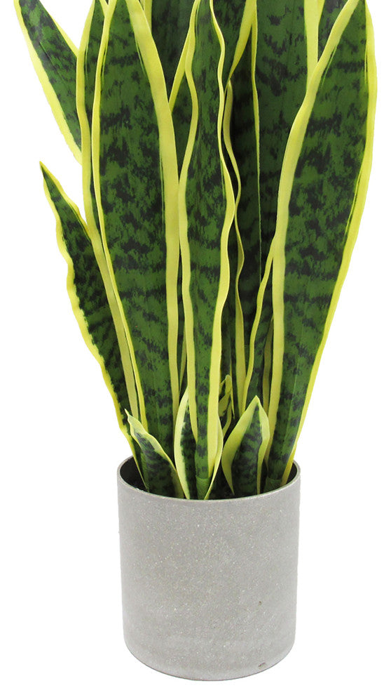 36" Green Yellow Artificial Sansevieria Snake Plant, Gray Pot