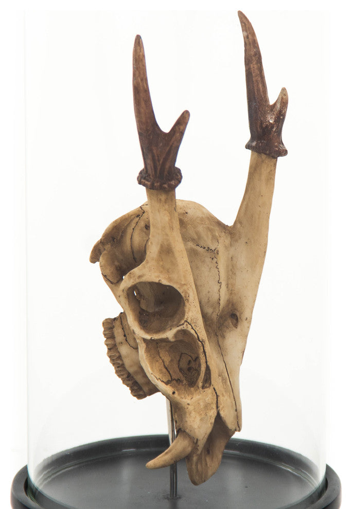 Deer Skull Statue With Cover