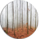 Fall Forest With Trees At Mist, Forest Round Metal Wall Art, 23"